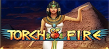 Dare you enter the Egyptian room with the Torches of Fire? Will you get the Wild Pyramids to double your wins or the Egyptian Queen to take you to Free Spins? This 5x3 reel 20 line slot features free spins with retrigger and multiplier. Wild Symbol doubles player winnings.